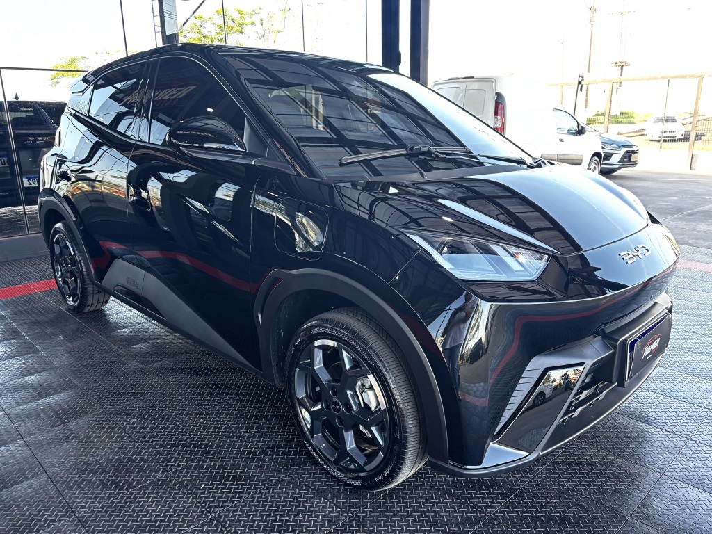 BYD Dolphin Mini 38 KW Elétrico GS — foto 2 de 13